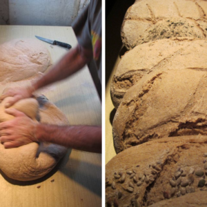 Laboratorio “Pane e rose” e la natura in una cascina nel bosco